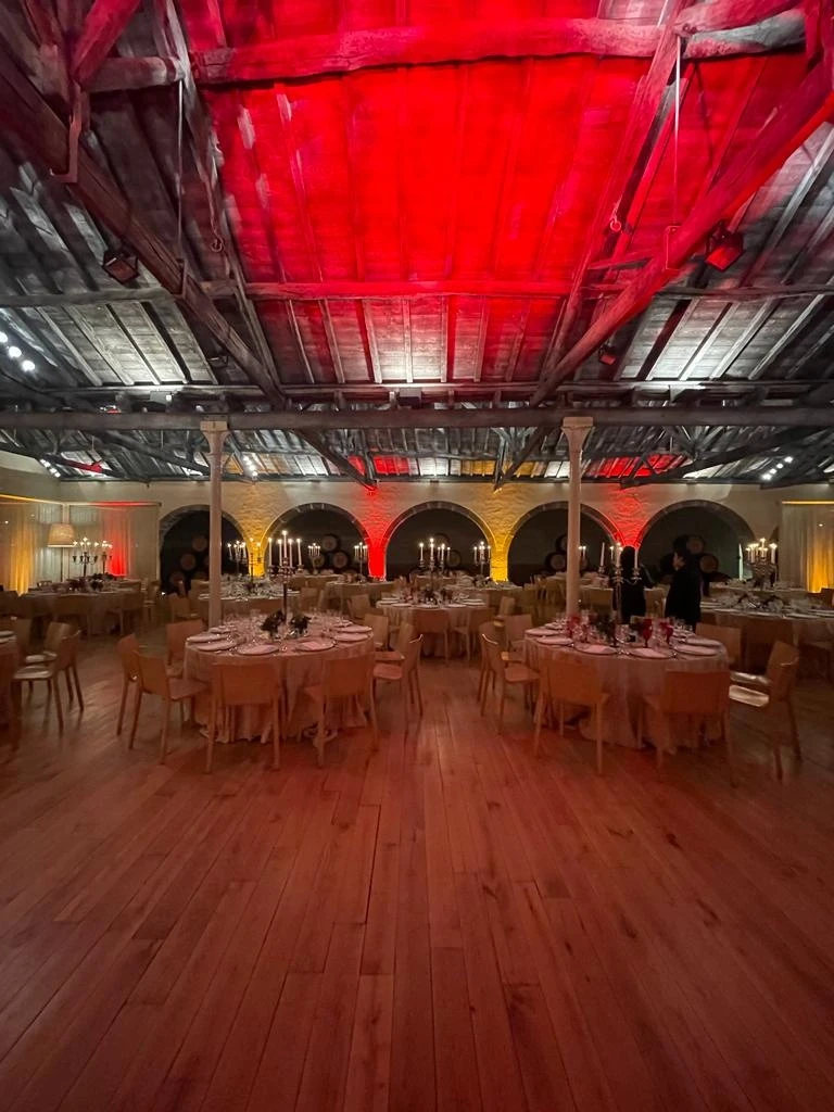 iMotion Christmas Dinner